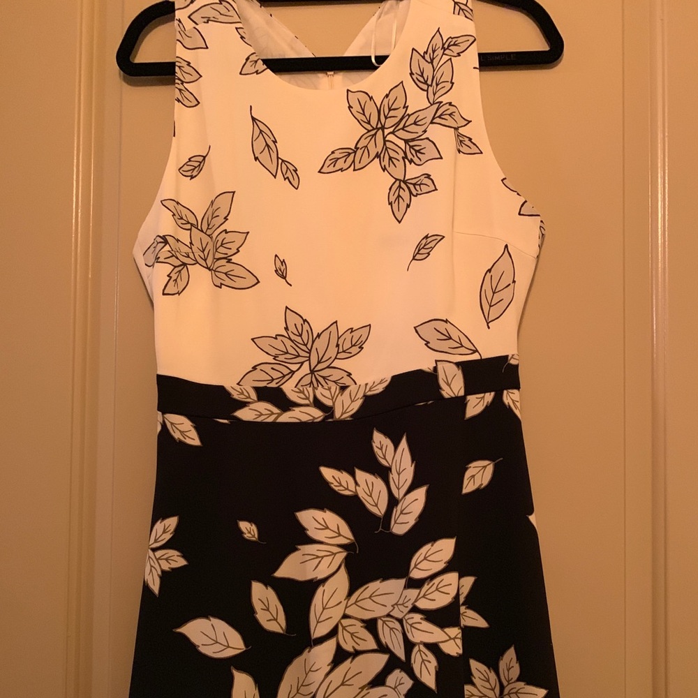 Zara Dress